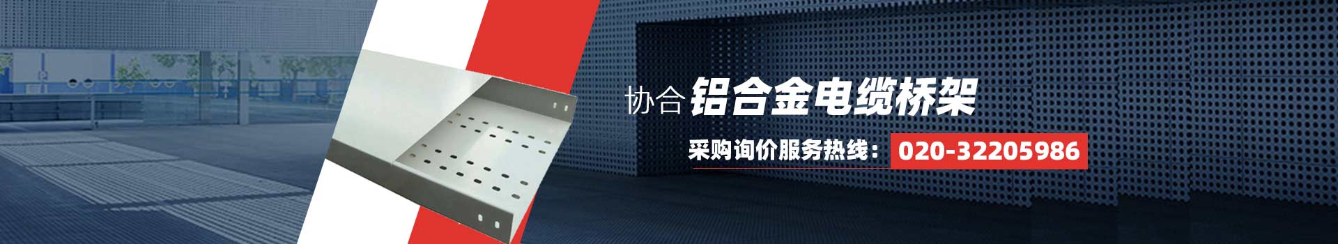 星空体育娱乐赞助里尔